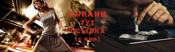 СК Вяземский