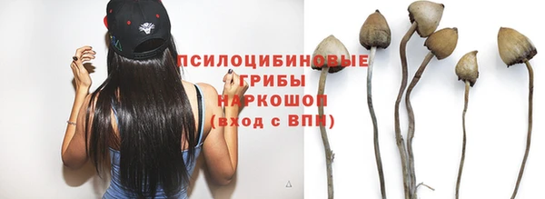 СК Вяземский