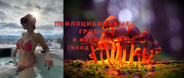СК Вяземский