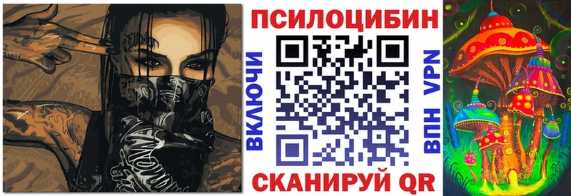 Купить  Котельнич  Галлюциногенные грибы Psilocybe 